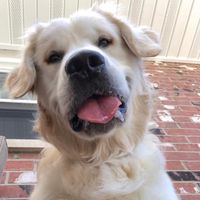Charlie