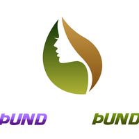 Þund