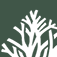 Lyme Timber Company