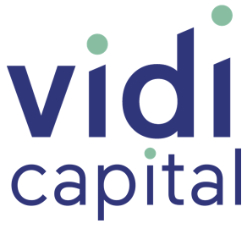 vidi