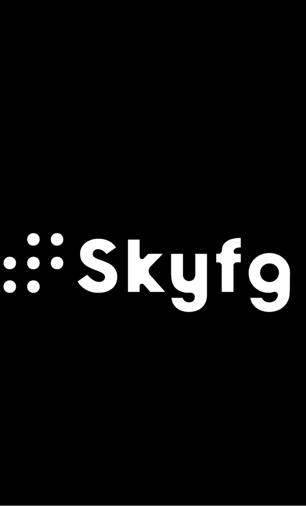 skyfg.com