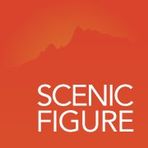 Scenic Figure