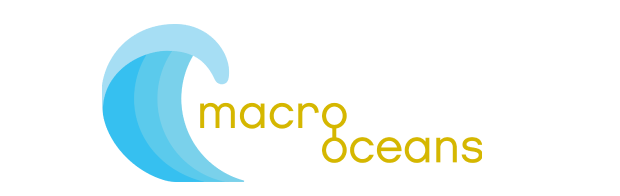 Macro Oceans