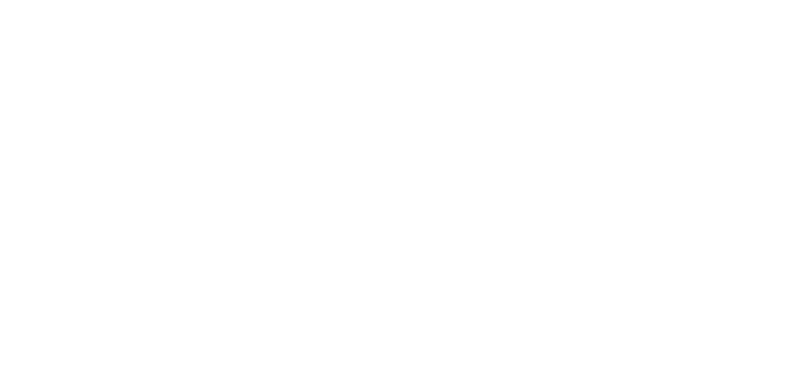 Goldin Auctions