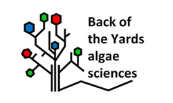 Back of the Yards Algae Sciences