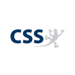 CSS AG