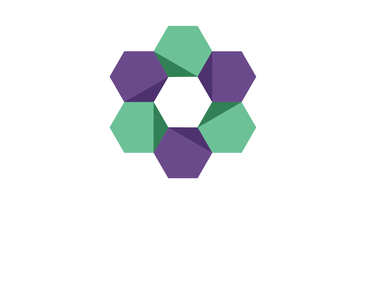 PETAL TECHNOLOGY