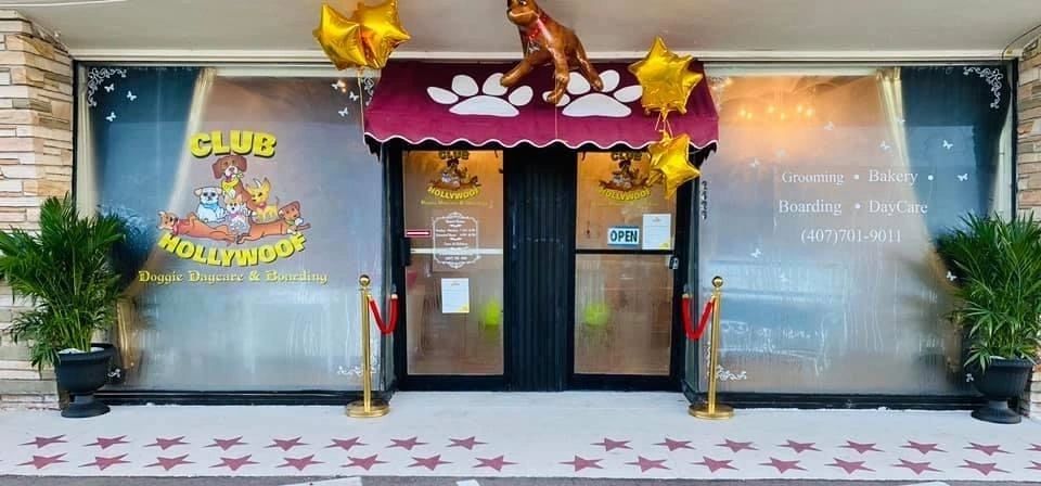 Doggie DayCare & Boarding