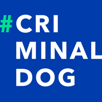 CriminalDog