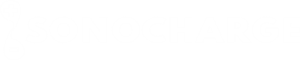 Sonocharge