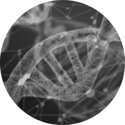 Drishti Discoveries