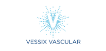 Vessix Vascular, Inc.