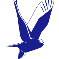 PolarBird Landing