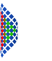 AVID India