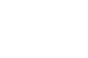 Voxel8