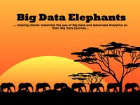 Big Data Elephants
