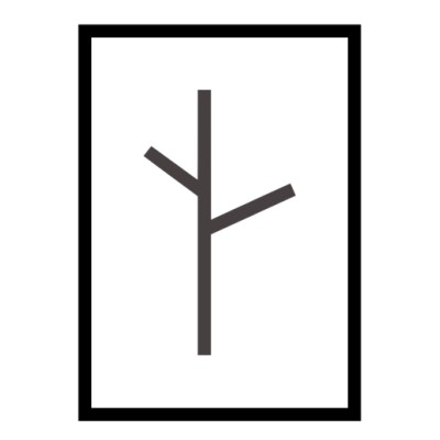 Birch Infrastructure, PBLLC