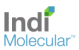Indi molecular
