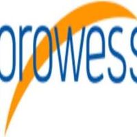 Prowess LLC