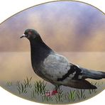 OvoControl