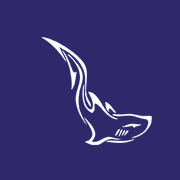 CodeTiburon