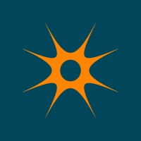 Wealth Management & Financial Advisors