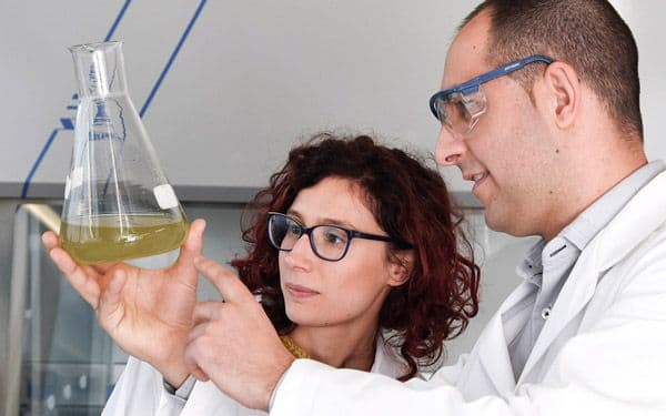 MycoSolutions Bodenhilfsstoff Bio Control Agent Avengelus