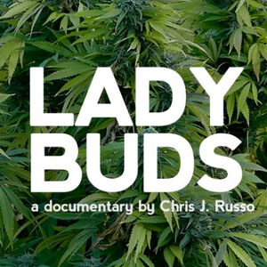 Lady Buds