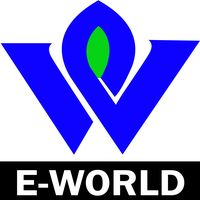 eWorld Information Systems