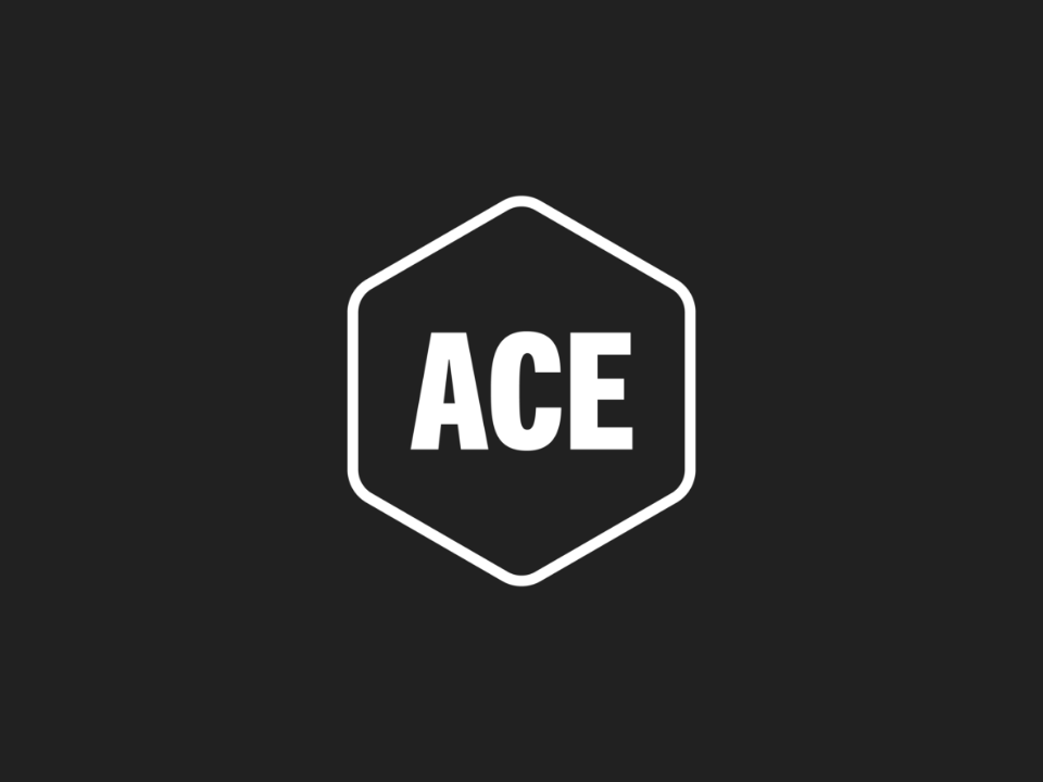 ACE Ventures