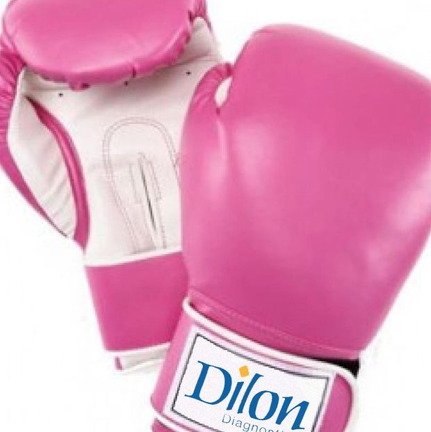 Dilon Technologies Inc