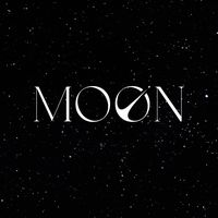 Moon Metaverse