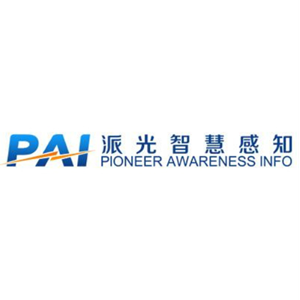 派光智慧