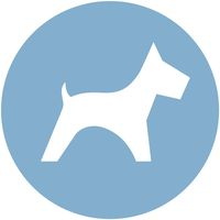 PaseaPerros.com