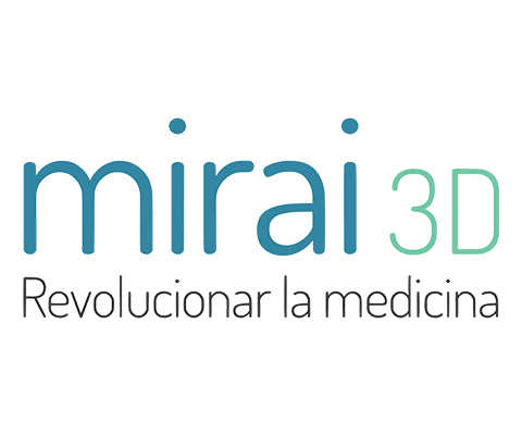 MIRAI 3D