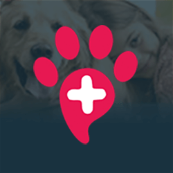 PawSquad