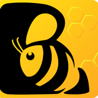 Beekids - Learning gamification platform