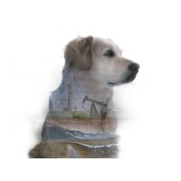 Advanced Flow Technologies Inc.