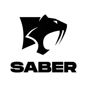 Saber Interactive