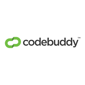 Invisible CodeBuddy