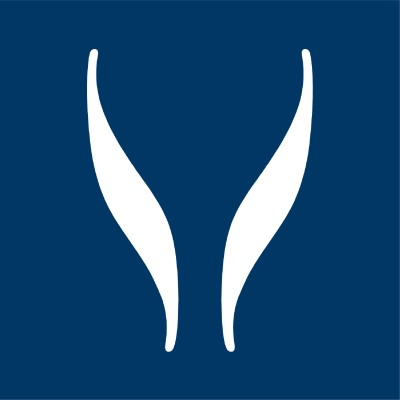 SYNLAB International