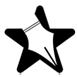 Stellar Literary Press and Media