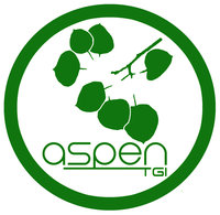 Aspen Technology Group