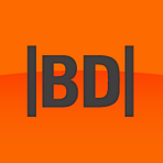 Bank Director