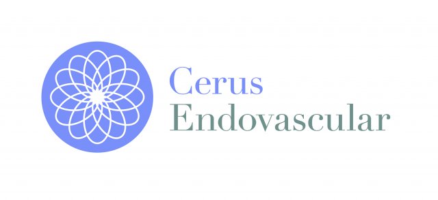 Cerus Endovascular Website