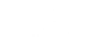 Chowly POS Integration (Grubhub, UberEats)