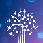 Connectum