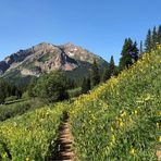 Singletrack