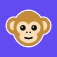 Monkey Web: Best Video Chat with Strangers Online