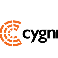 Cygni Energy Private Limited 